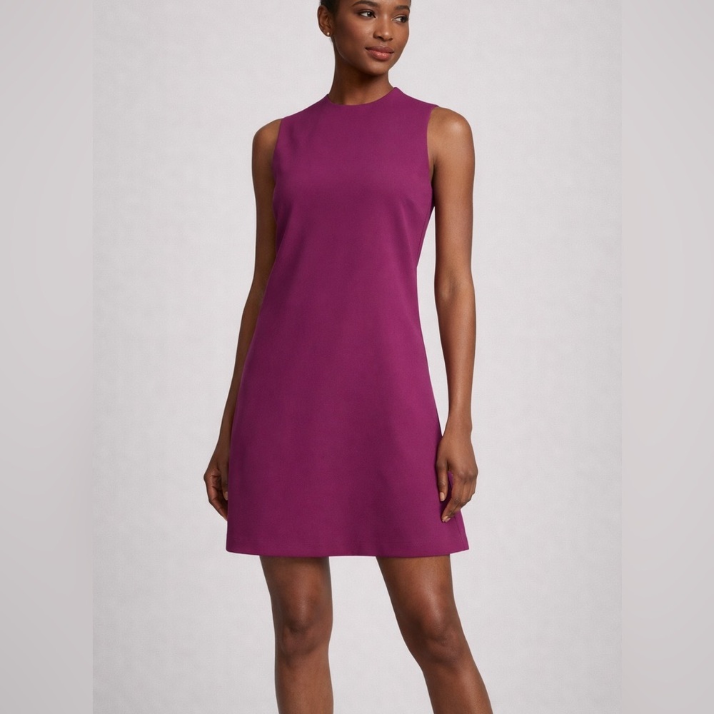 NWT Alice + Olivia Coley A Line  Dress